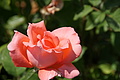 DSC07664 - Bernhard Saalfeld