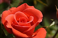 DSC07667 - Bernhard Saalfeld