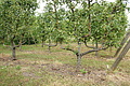 DSC07674 - Bernhard Saalfeld