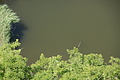 DSC07699 - Bernhard Saalfeld