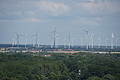DSC07701 - Bernhard Saalfeld