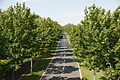 DSC07718 - Bernhard Saalfeld