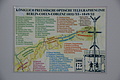 DSC07812 - Bernhard Saalfeld