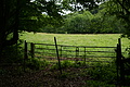DSC03066 - Bernhard Saalfeld