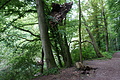 DSC03073 - Bernhard Saalfeld