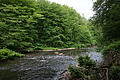 DSC03074 - Bernhard Saalfeld