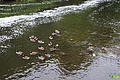 DSC03076 - Bernhard Saalfeld