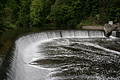 DSC03079 - Bernhard Saalfeld