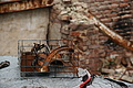 DSC03124 - Bernhard Saalfeld