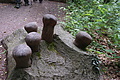 DSC03126 - Bernhard Saalfeld
