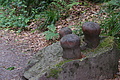 DSC03127 - Bernhard Saalfeld