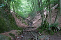 DSC03138 - Bernhard Saalfeld