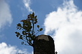 DSC03166 - Bernhard Saalfeld