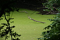 DSC03171 - Bernhard Saalfeld
