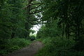 DSC03174 - Bernhard Saalfeld