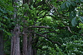 DSC03175 - Bernhard Saalfeld