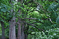 DSC03176 - Bernhard Saalfeld