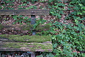 DSC03185 - Bernhard Saalfeld