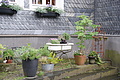 DSC03206 - Bernhard Saalfeld