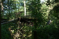 DSC03219 - Bernhard Saalfeld