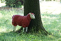 DSC03225 - Bernhard Saalfeld