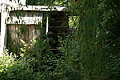 DSC03227 - Bernhard Saalfeld