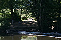 DSC03229 - Bernhard Saalfeld