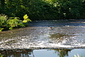 DSC03230 - Bernhard Saalfeld