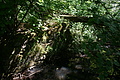 DSC03233 - Bernhard Saalfeld