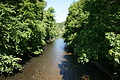 DSC03238 - Bernhard Saalfeld