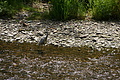 DSC03257 - Bernhard Saalfeld