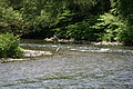 DSC03258 - Bernhard Saalfeld