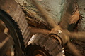DSC03264 - Bernhard Saalfeld