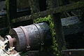DSC03292 - Bernhard Saalfeld