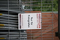 DSC08482 - Bernhard Saalfeld