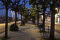 DSC04217 - Bernhard Saalfeld