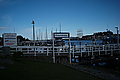 L1000622 - Bernhard Saalfeld