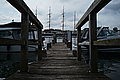 L1000634 - Bernhard Saalfeld