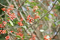DSC01446 - Bernhard Saalfeld