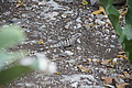 DSC01450 - Bernhard Saalfeld