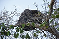 DSC01451 - Bernhard Saalfeld