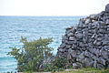 DSC01454 - Bernhard Saalfeld