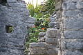 DSC01458 - Bernhard Saalfeld