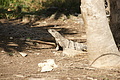 DSC01467 - Bernhard Saalfeld