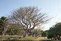 DSC01486 - Bernhard Saalfeld