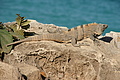 DSC01493 - Bernhard Saalfeld