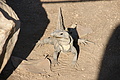 DSC01496 - Bernhard Saalfeld