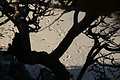 DSC01497 - Bernhard Saalfeld