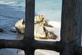 DSC01499 - Bernhard Saalfeld