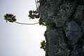 DSC01501 - Bernhard Saalfeld